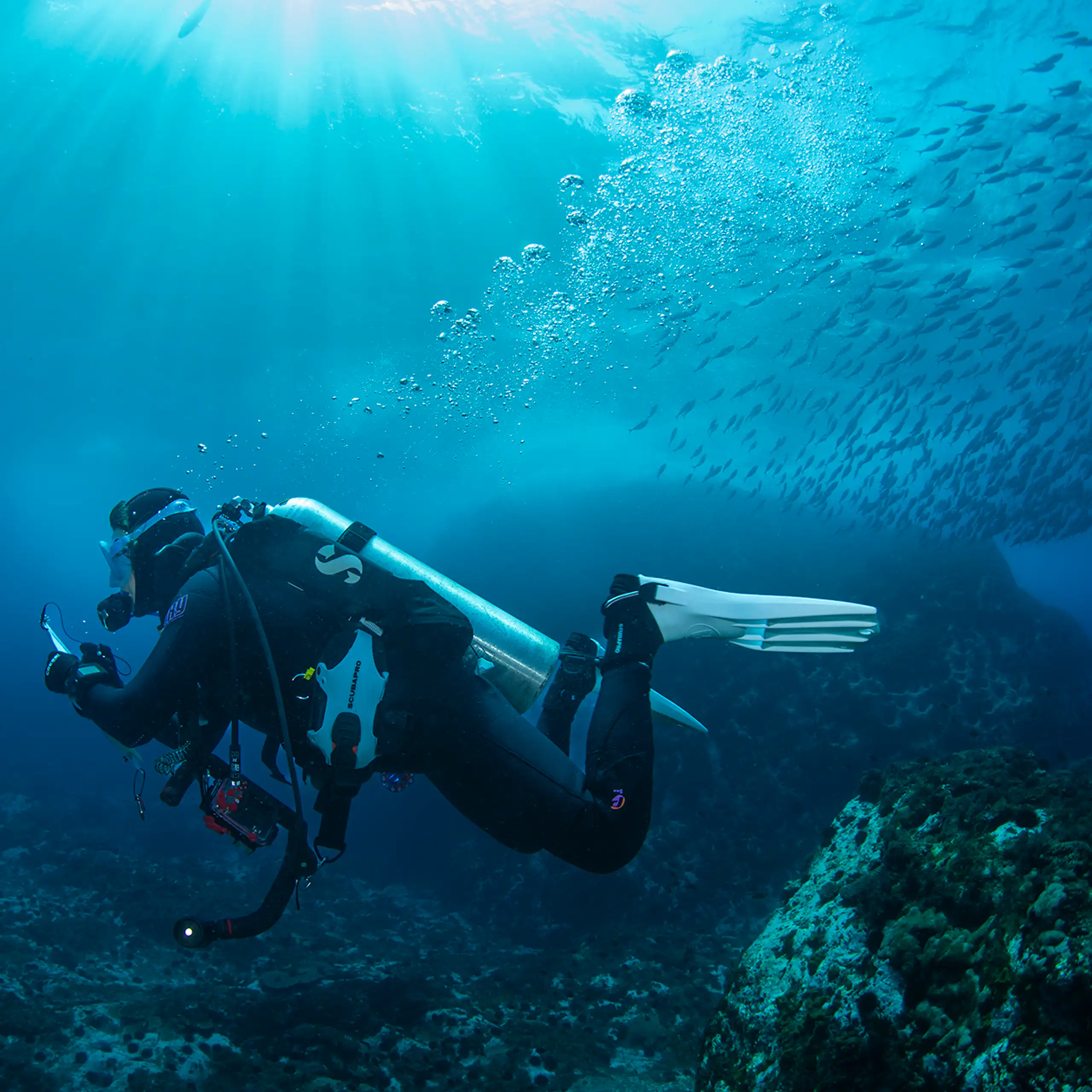 A diver swims through a picturesque ocean environment.