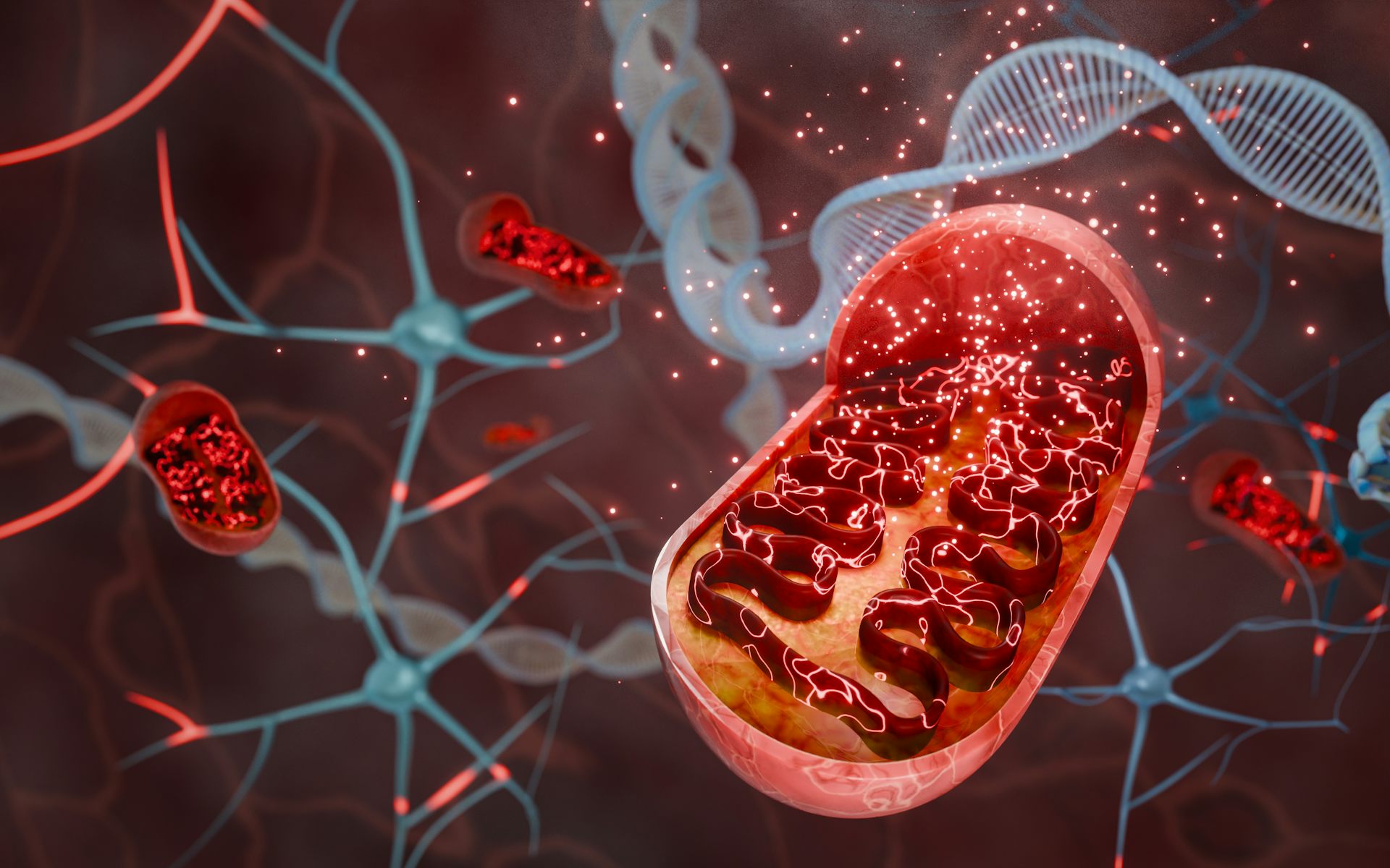 Fotobiomodulación: así funciona el tratamiento de luz para reducir los daños de la radioterapia en la piel