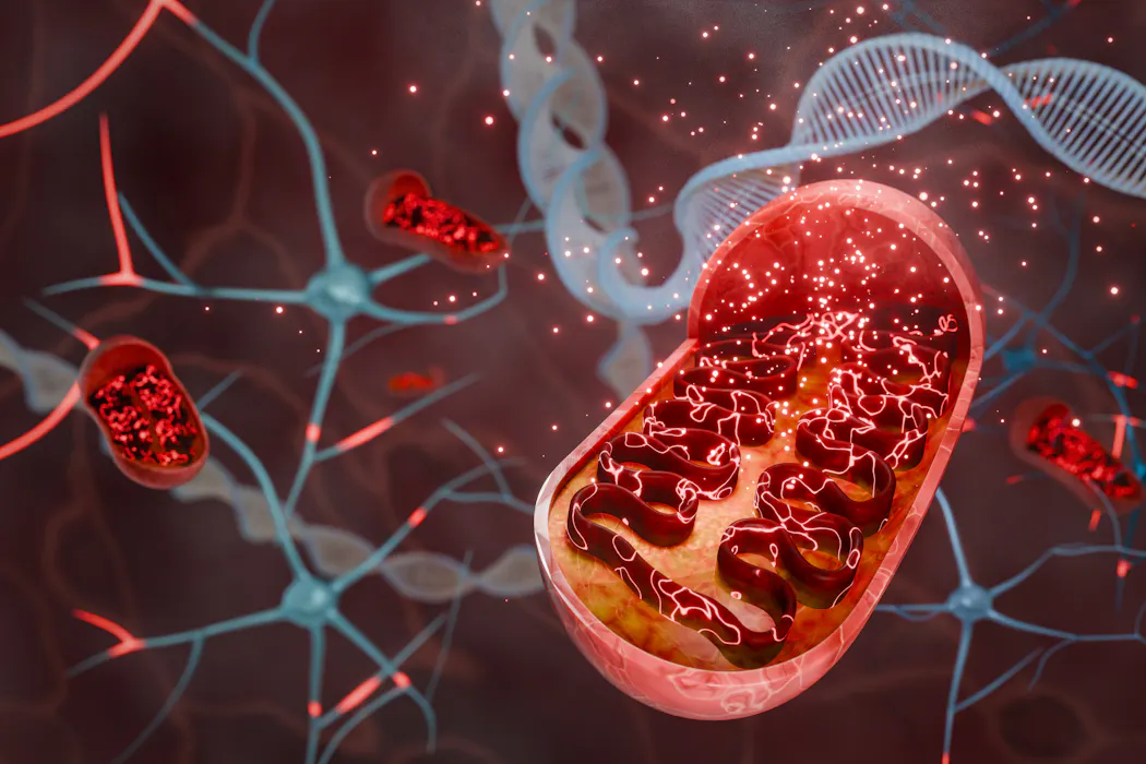 Fotobiomodulación: así funciona el tratamiento de luz para reducir los daños de la radioterapia en la piel