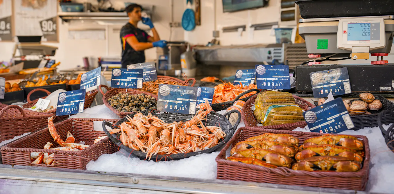 Et si les bactéries devenaient nos alliées contre le gaspillage alimentaire et les risques sanitaires ?