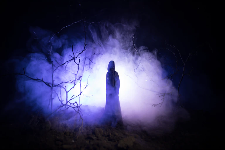 hooded figure seen from behind walking through a dark forest.