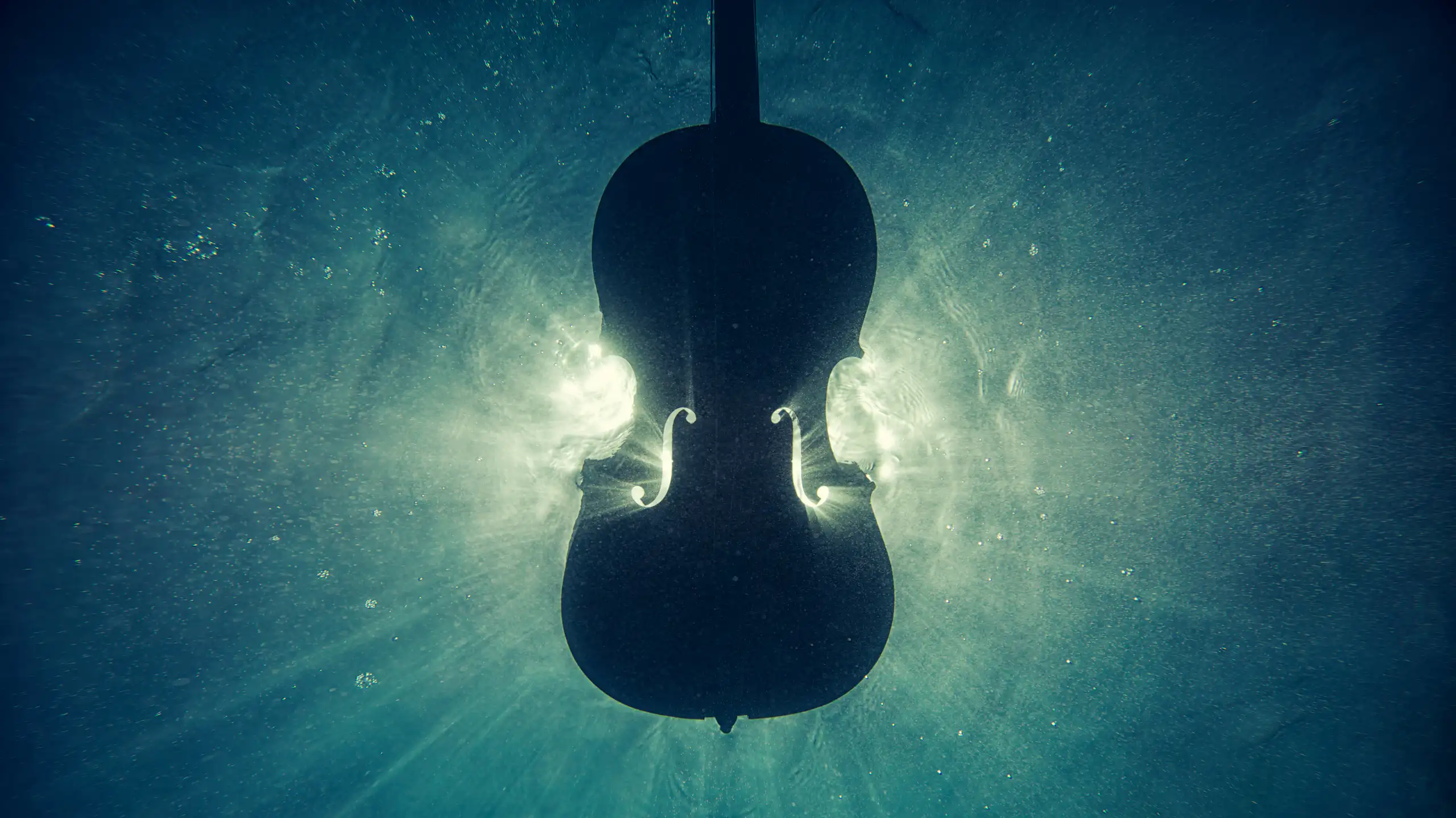 A violin captured underwater