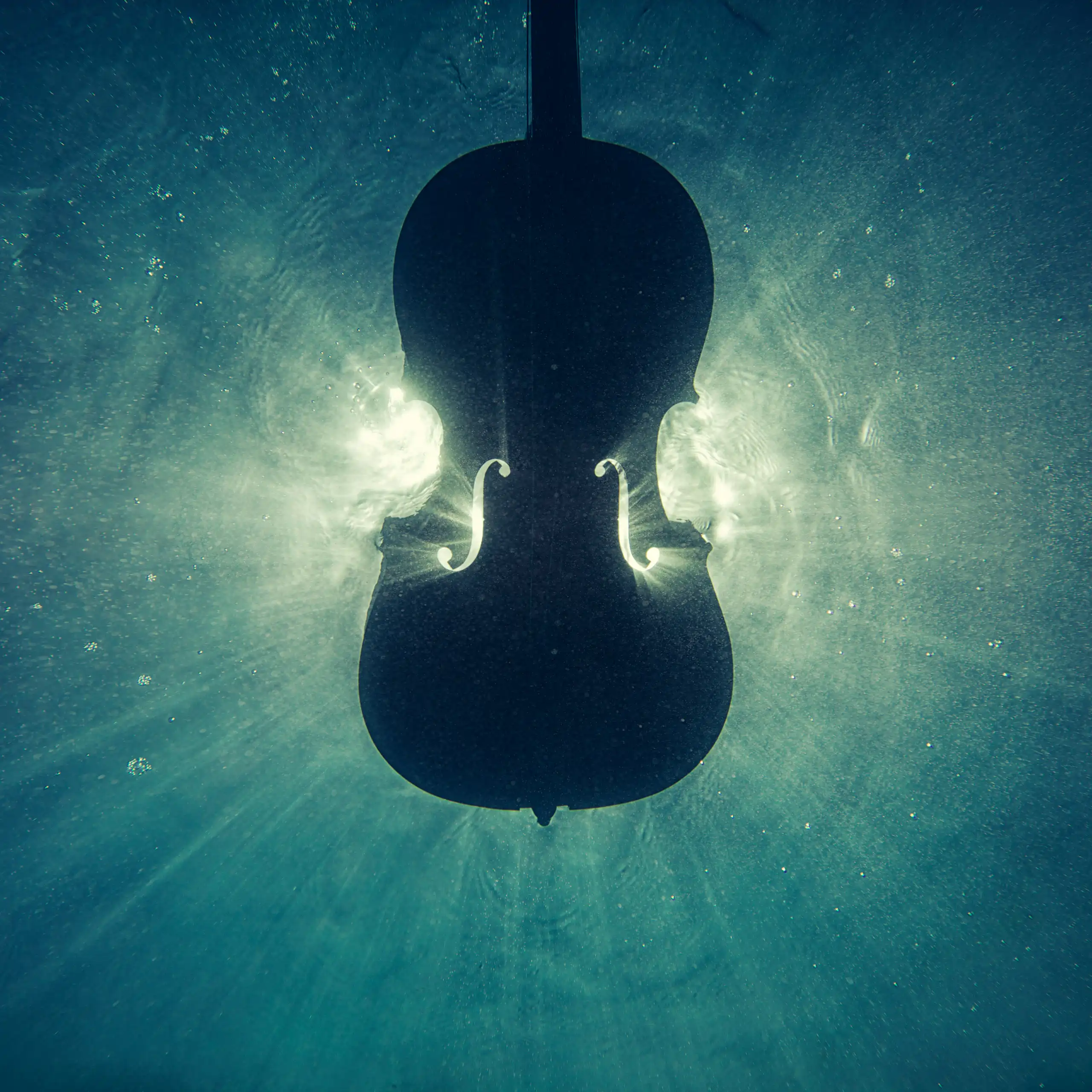 A violin captured underwater