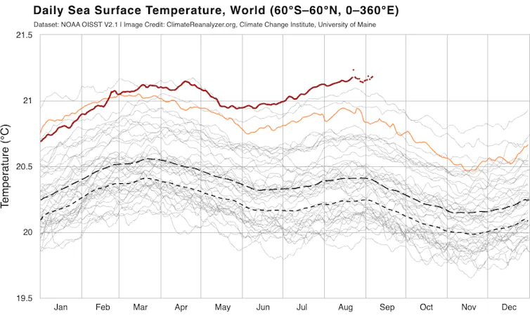 Chart of all years since 1981 show the last four were exceptionally warm for the oceans