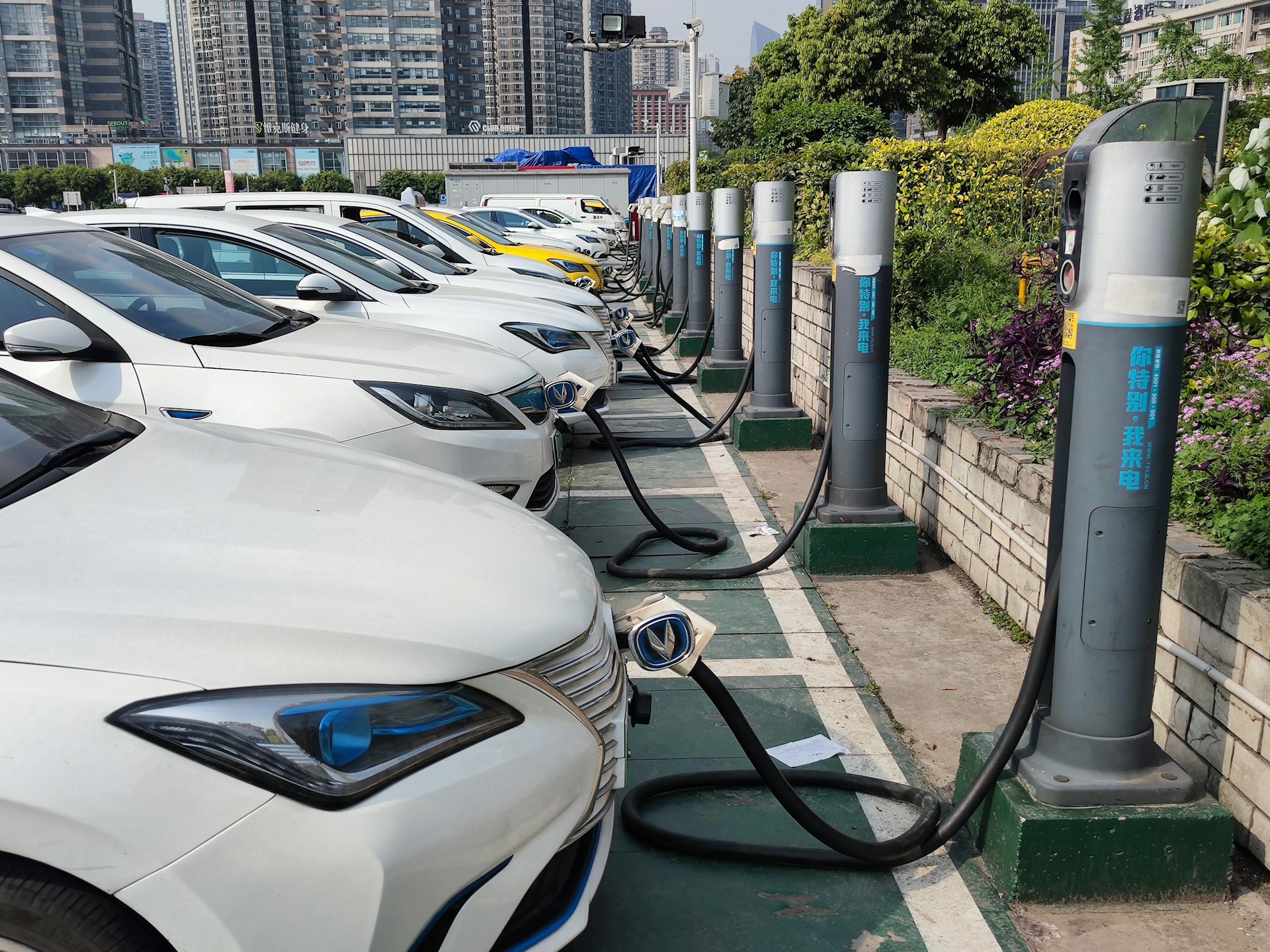 Electric vehicles at charging stations in China.