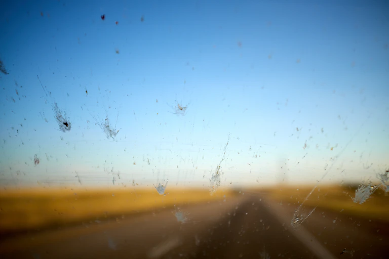 dead insects on windscreen of car, blurred road in distance