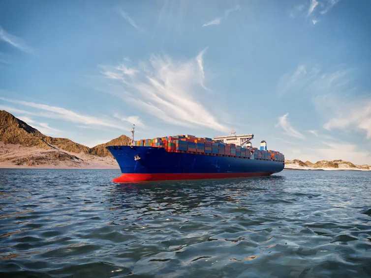 A cargo ship passing through The Persian Gulf