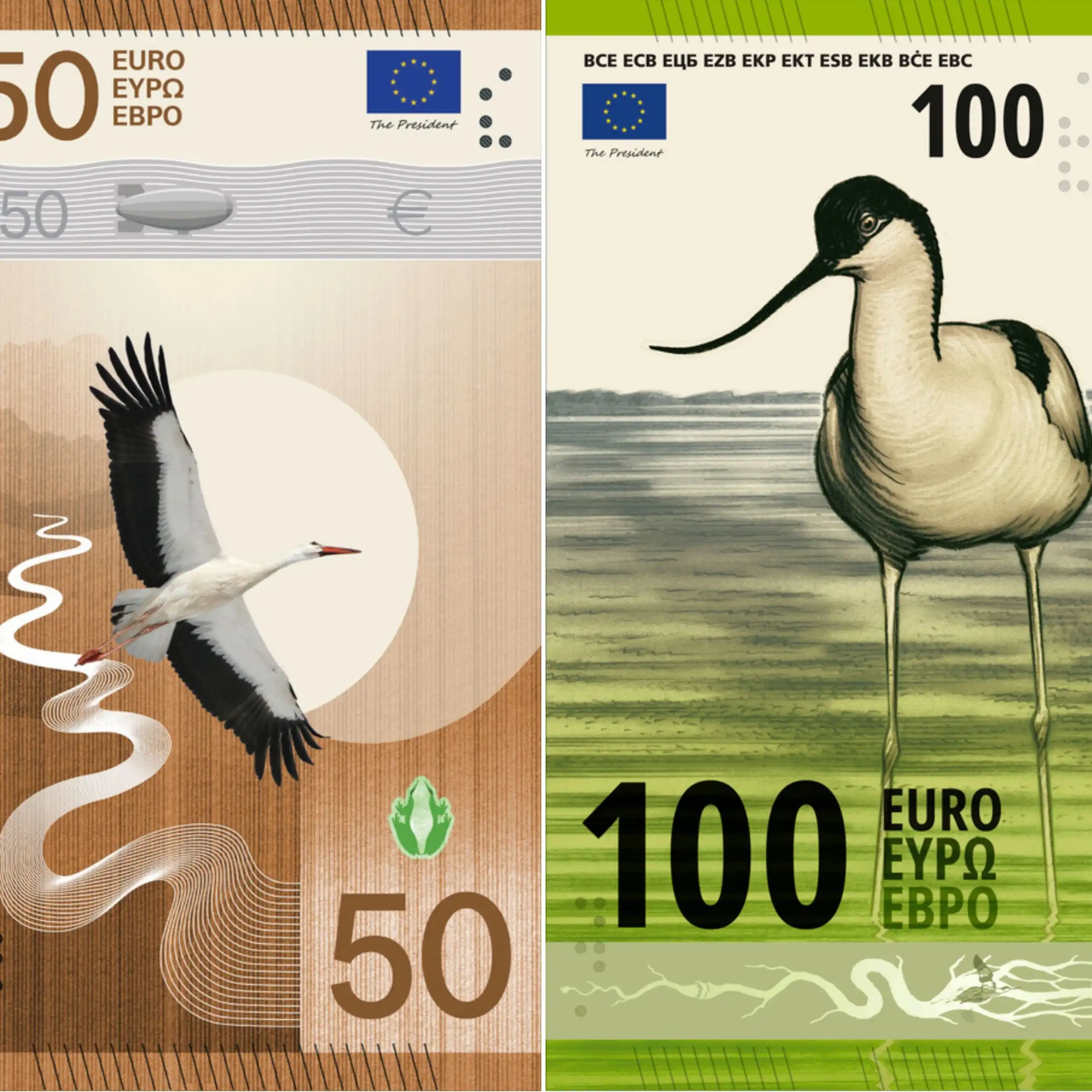Billets de 5, 10, 20, 50 et 100 euros portant illustration des différentes espèces d’oiseaux sélectionnées par la BCE.