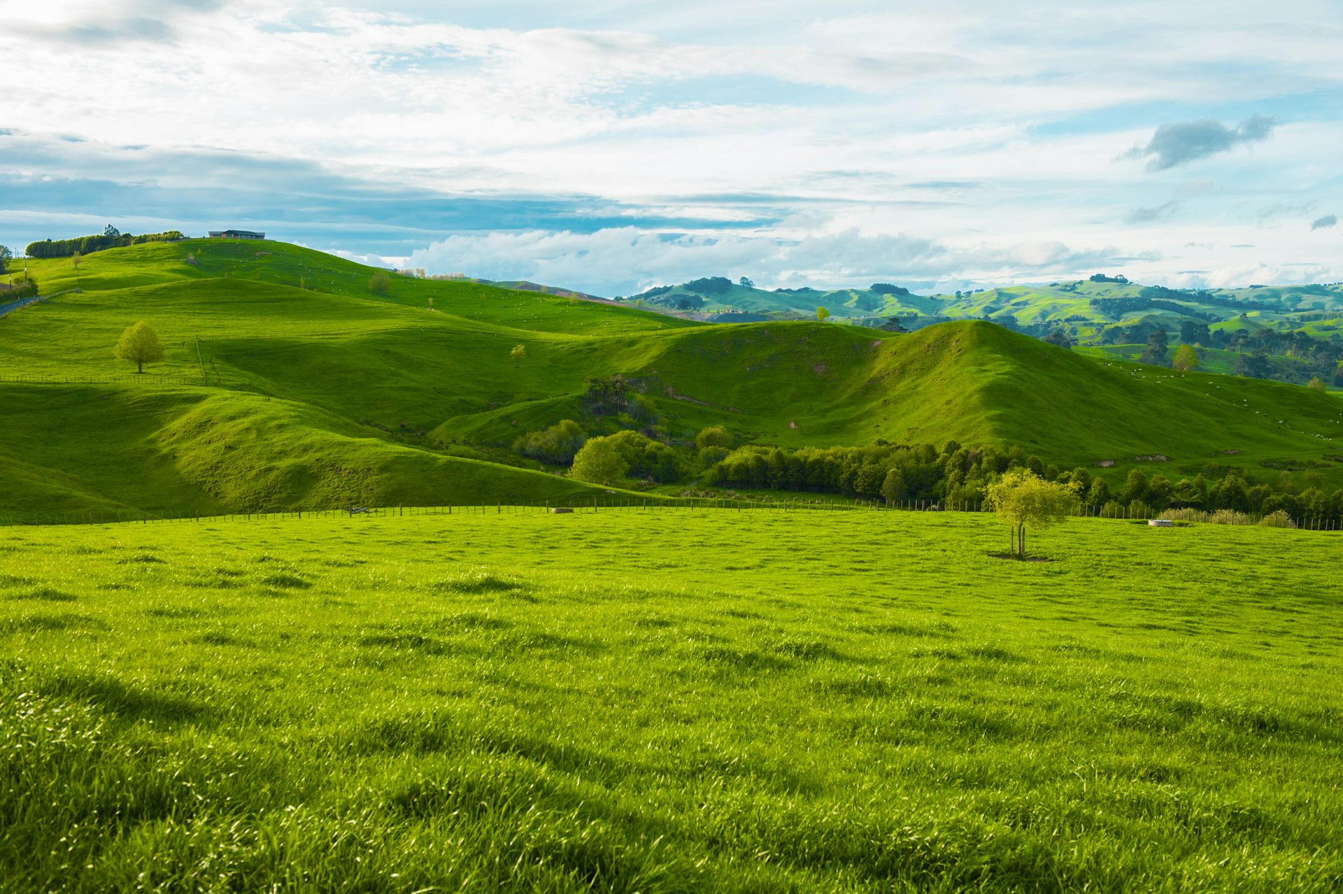 Imported phosphate for fertiliser is expensive – could this homegrown alternative be a solution?
