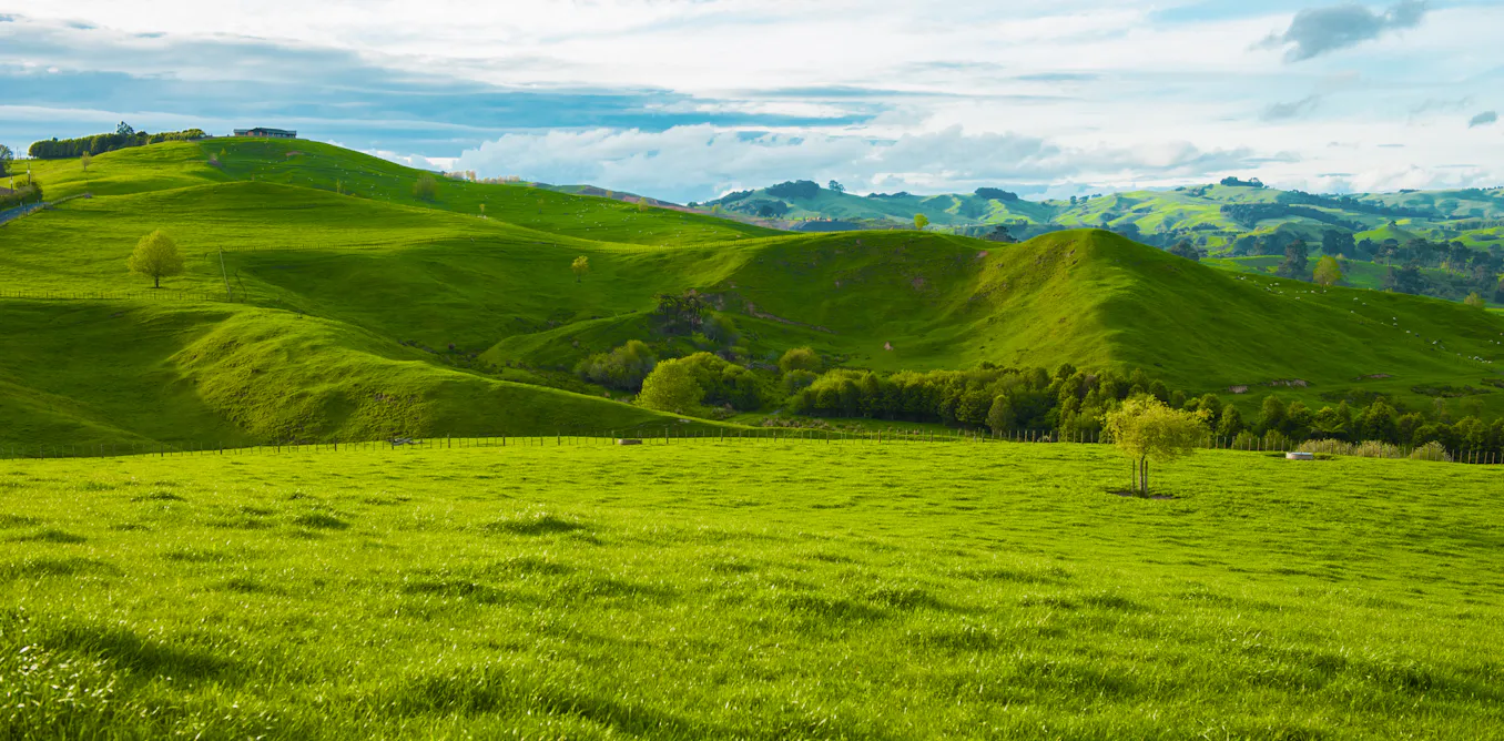 EduWireDaily — Imported phosphate for fertiliser is expensive – could this homegrown alternative be a solution?