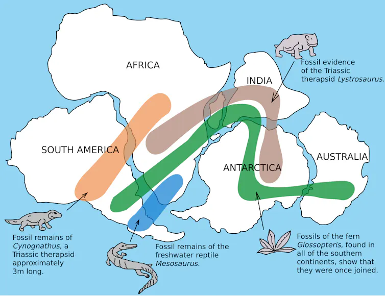 A diagram showing how the landmasses of Australia, Africa, Antarctica, India and South America were once connected..