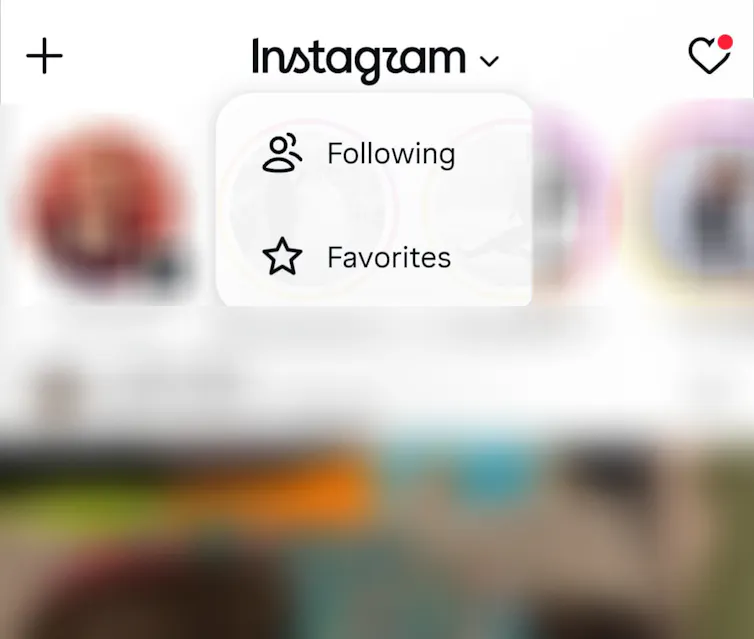 A screenshot showing following and favourites under instagram logo.