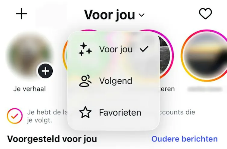 A screenshot showing a menu in Dutch with three options, not two.