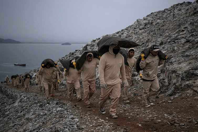 workers carrying sacks of guano up a hill on Stony island.