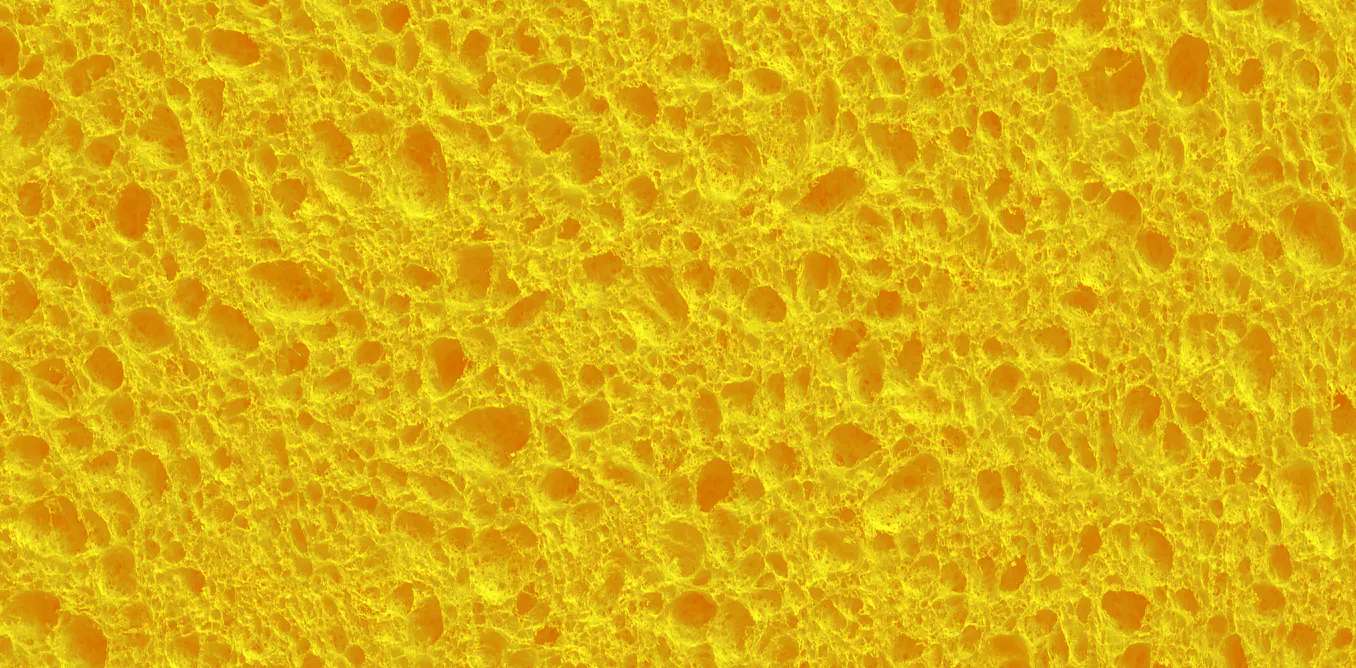 This sponge has holes. Some find that truly disgusting