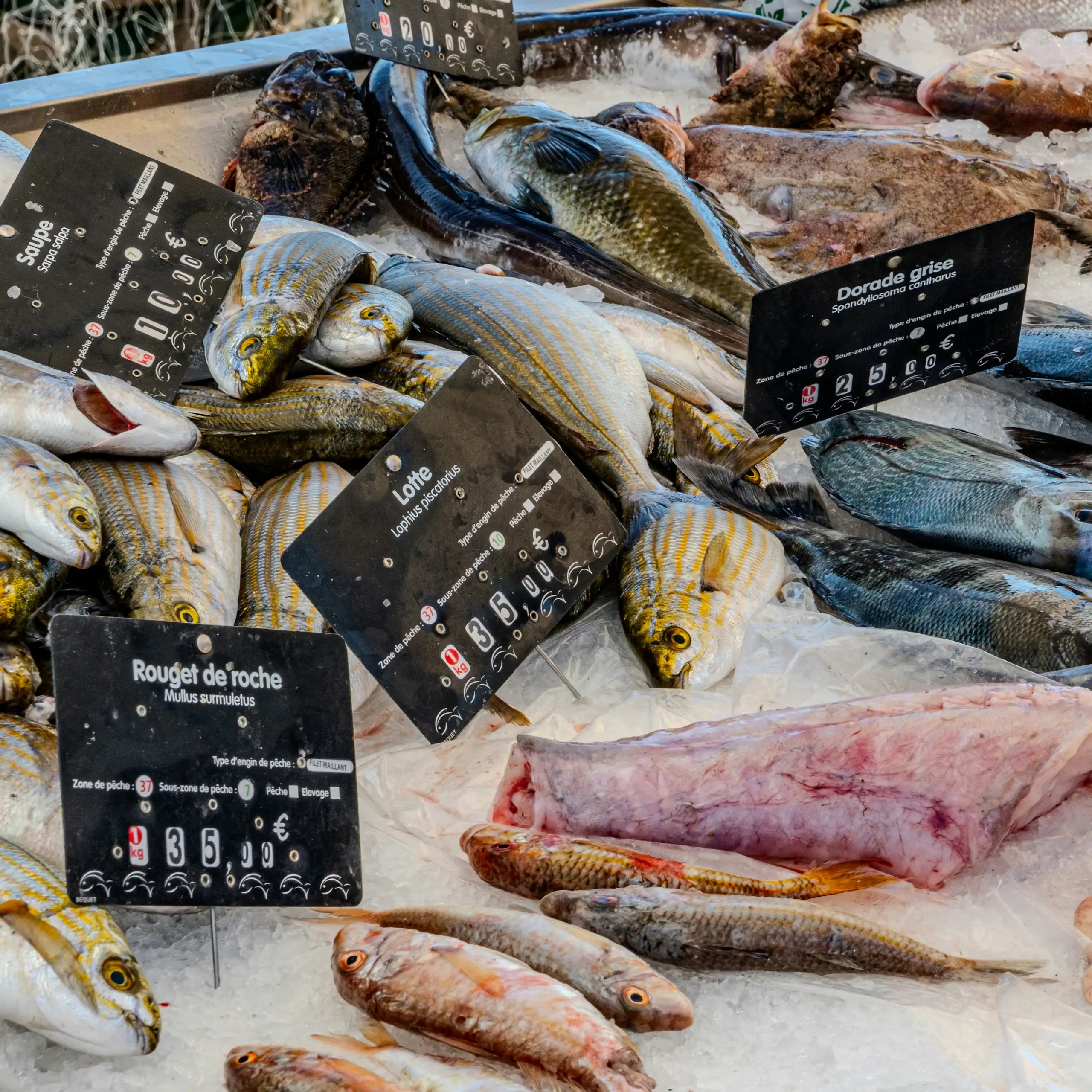 Un étal de poissonnerie, à Antibes.