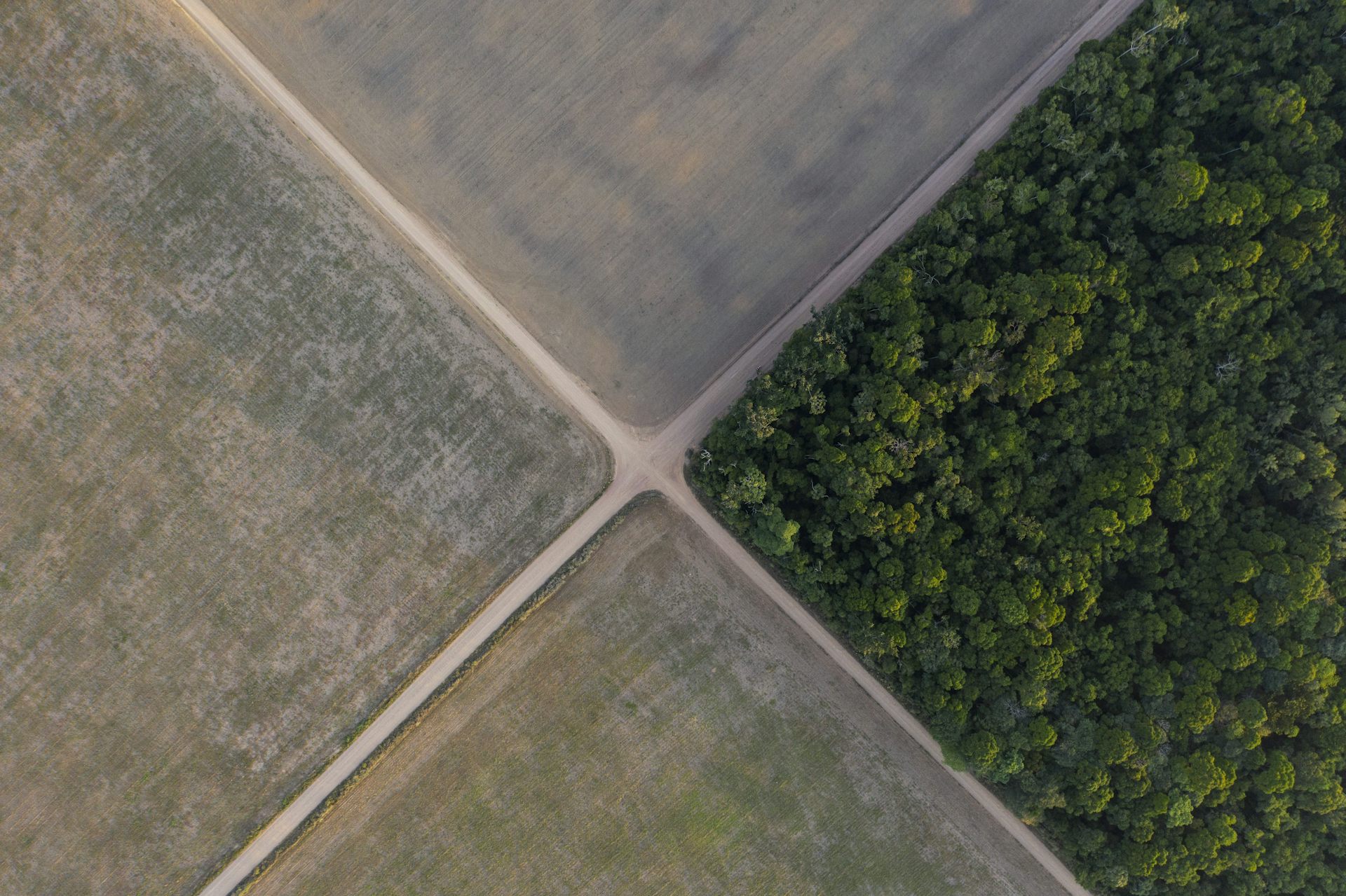 From above, four quadrants of land are seen. Three are soy fields, one is a forest.