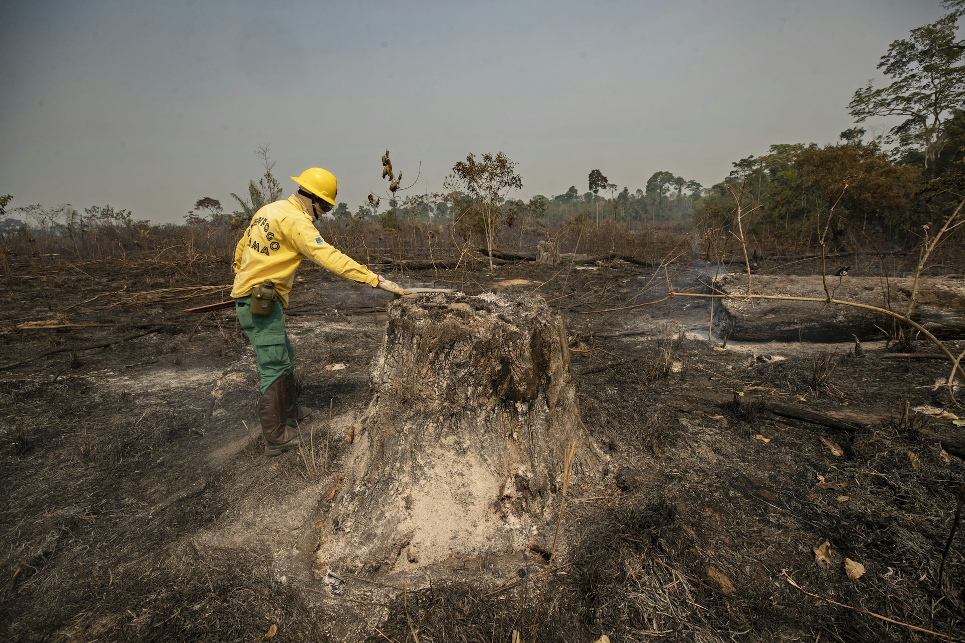 A person in a yellow jacket and hard hat inspects the charred stump of a tree