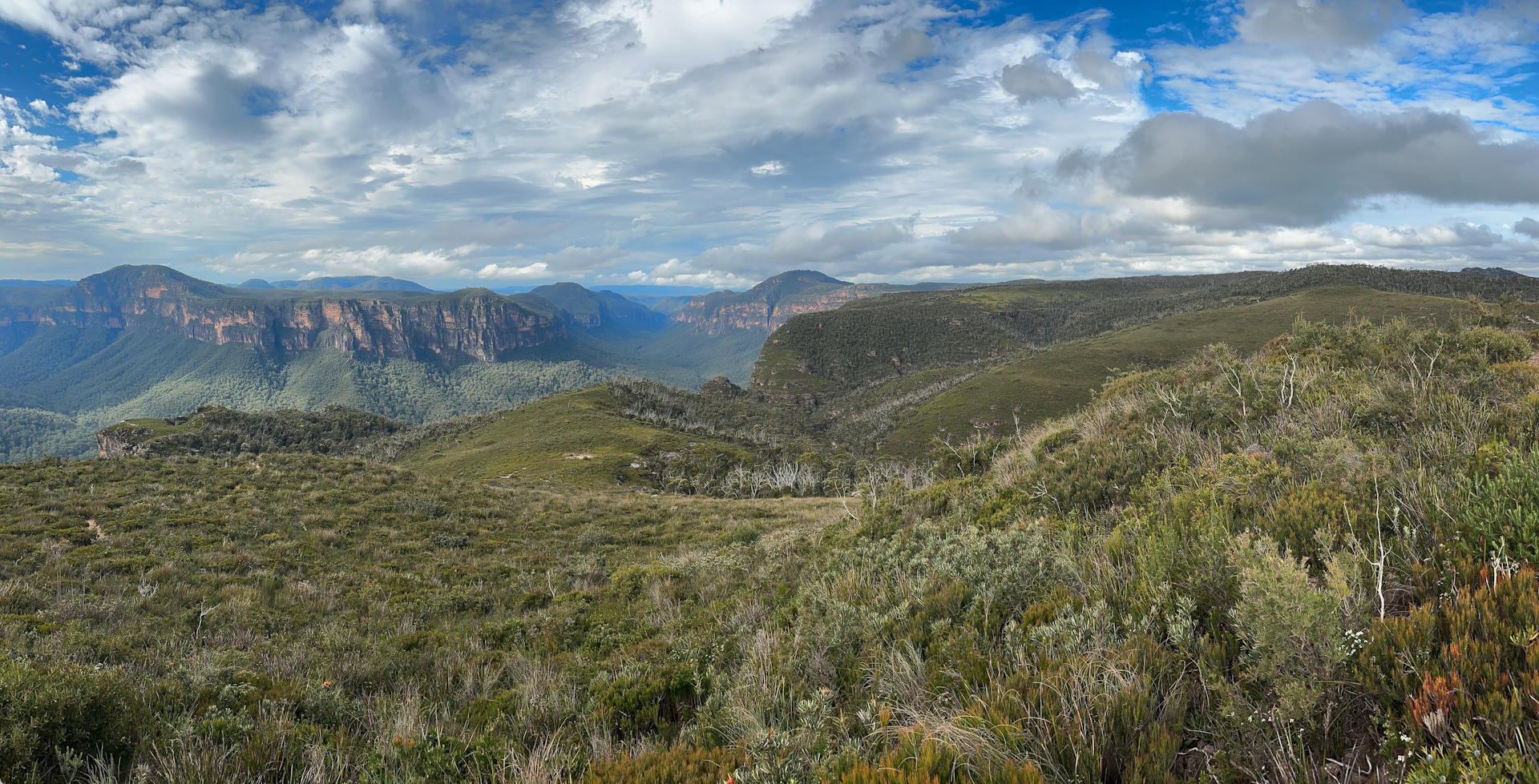 We could soon be able to track changes in Australia’s forests in near-real time – using satellites