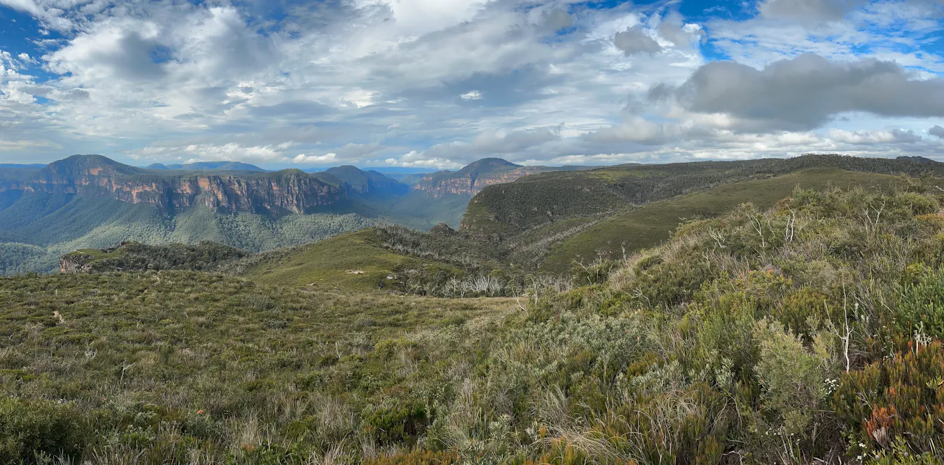 We could soon be able to track changes in Australia’s forests in near-real time – using satellites We could soon be able to track changes in Australia’s forests in near-real time – using satellites