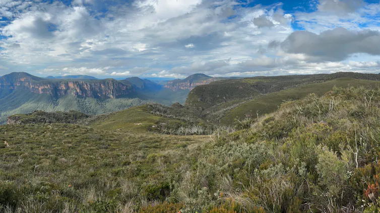 Landscape of forest, woodlands and heath in the Blue Mountains