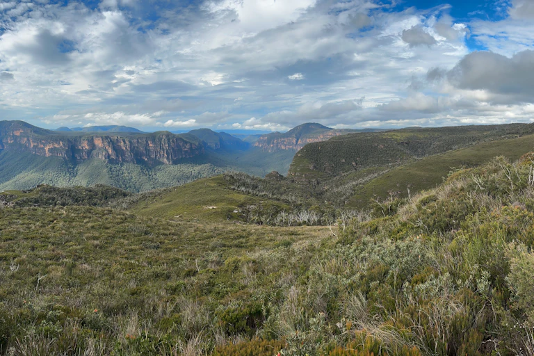 Landscape of forest, woodlands and heath in the Blue Mountains
