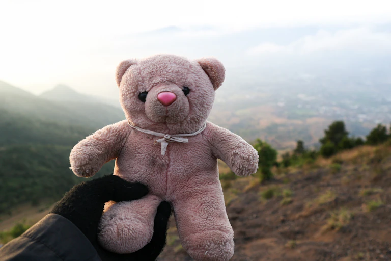 Gloved hand holds teddy bear with pink nose against hilly landscape