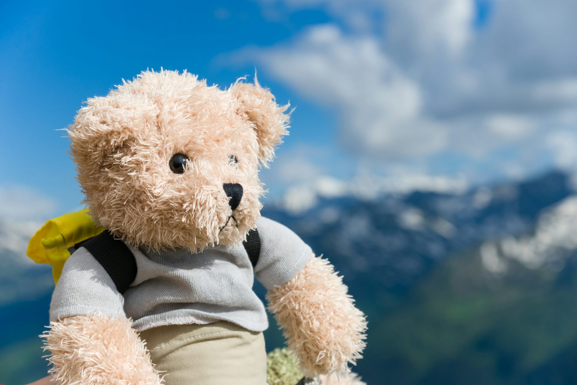 Teddy bear wearing backpack in the mountains
