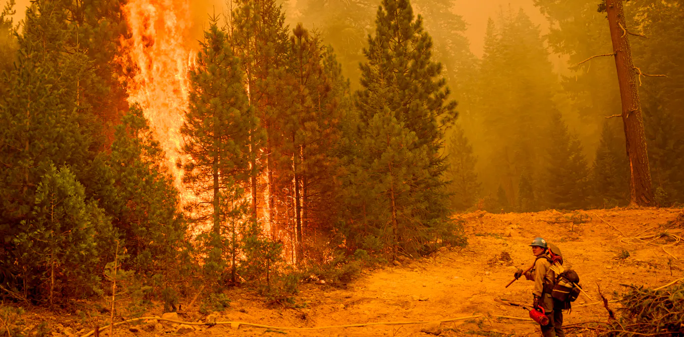 Wildfire strategy doesn’t need a winner – with 3 camps fighting for dominance, the system can’t keep up with the risk Wildfire strategy doesn’t need a winner – with 3 camps fighting for dominance, the system can’t keep up with the risk