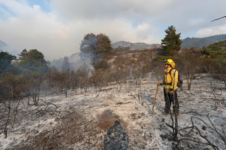 A firefighter stands on a burned landscape, with smoke still rising