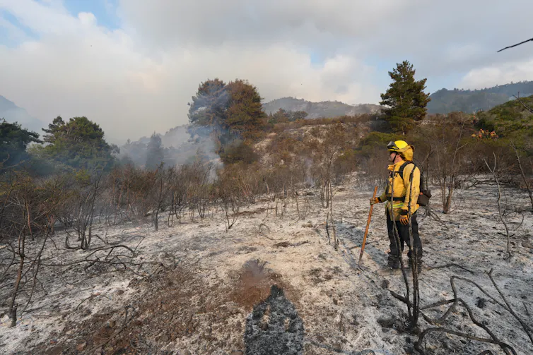 A firefighter stands on a burned landscape, with smoke still rising