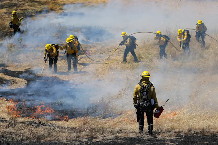 A row of firefighters with a hose and a line of fire across grasslands.