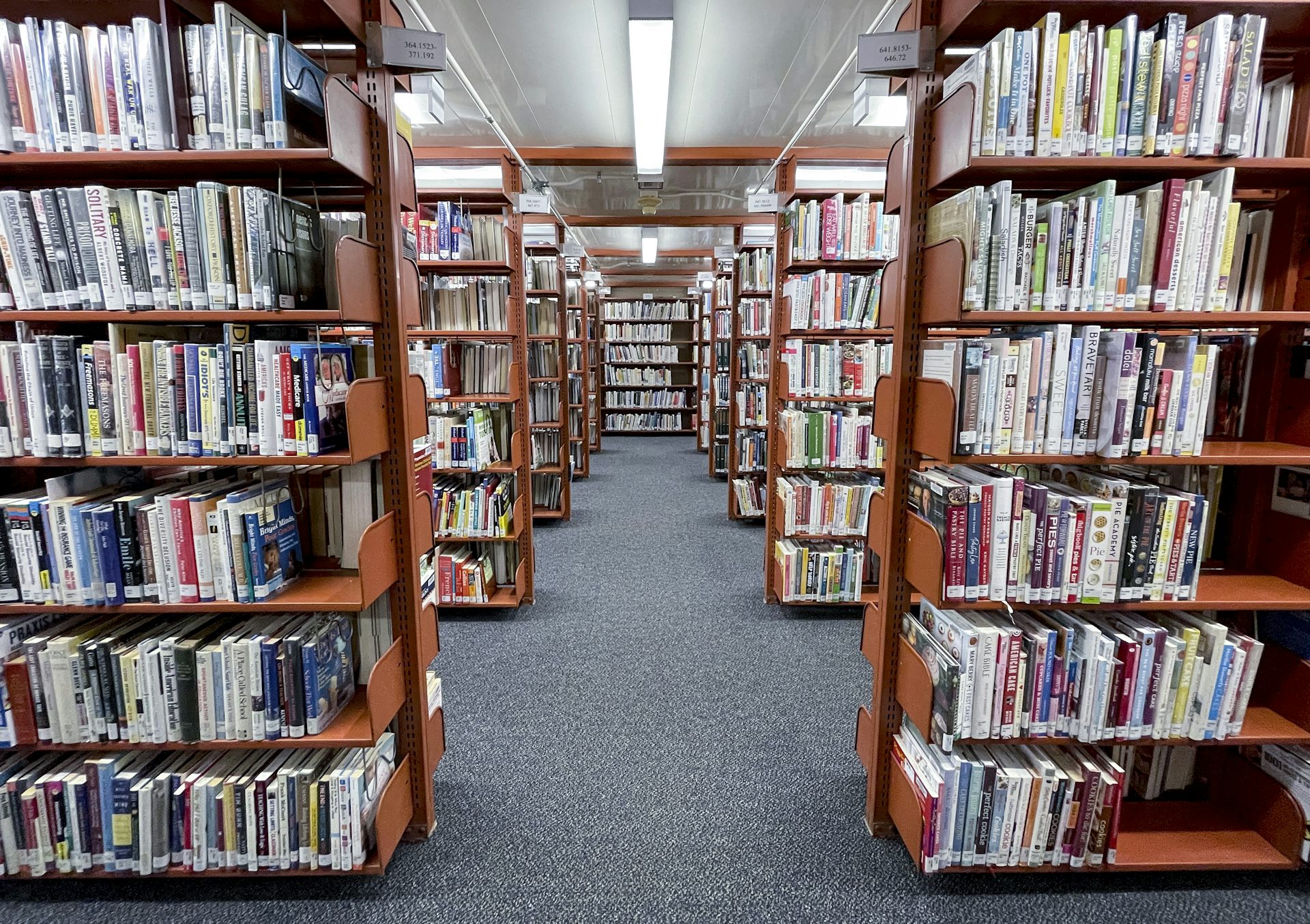 Stacks of tall shelves filled with books