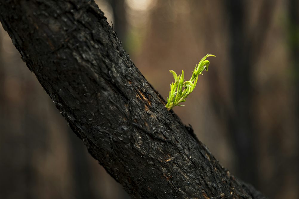 theconversation.com - Bill Hare - Australia must double down to meet our climate targets. Our new study shows how