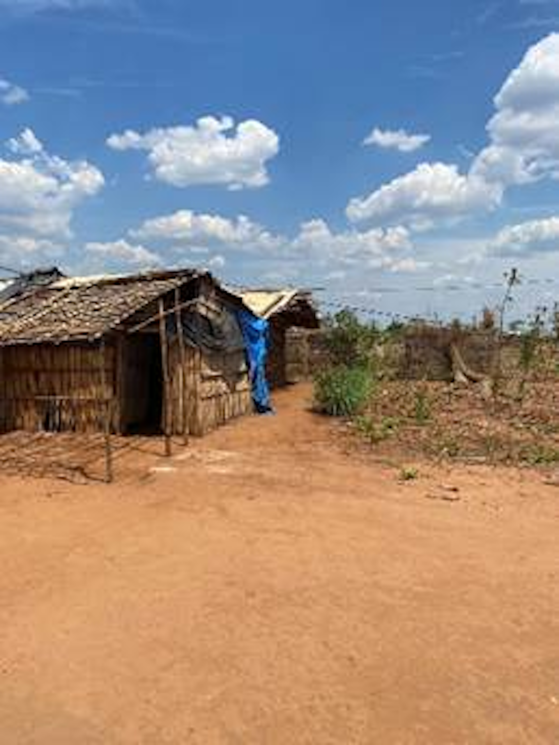 A house made of wooden poles and grass