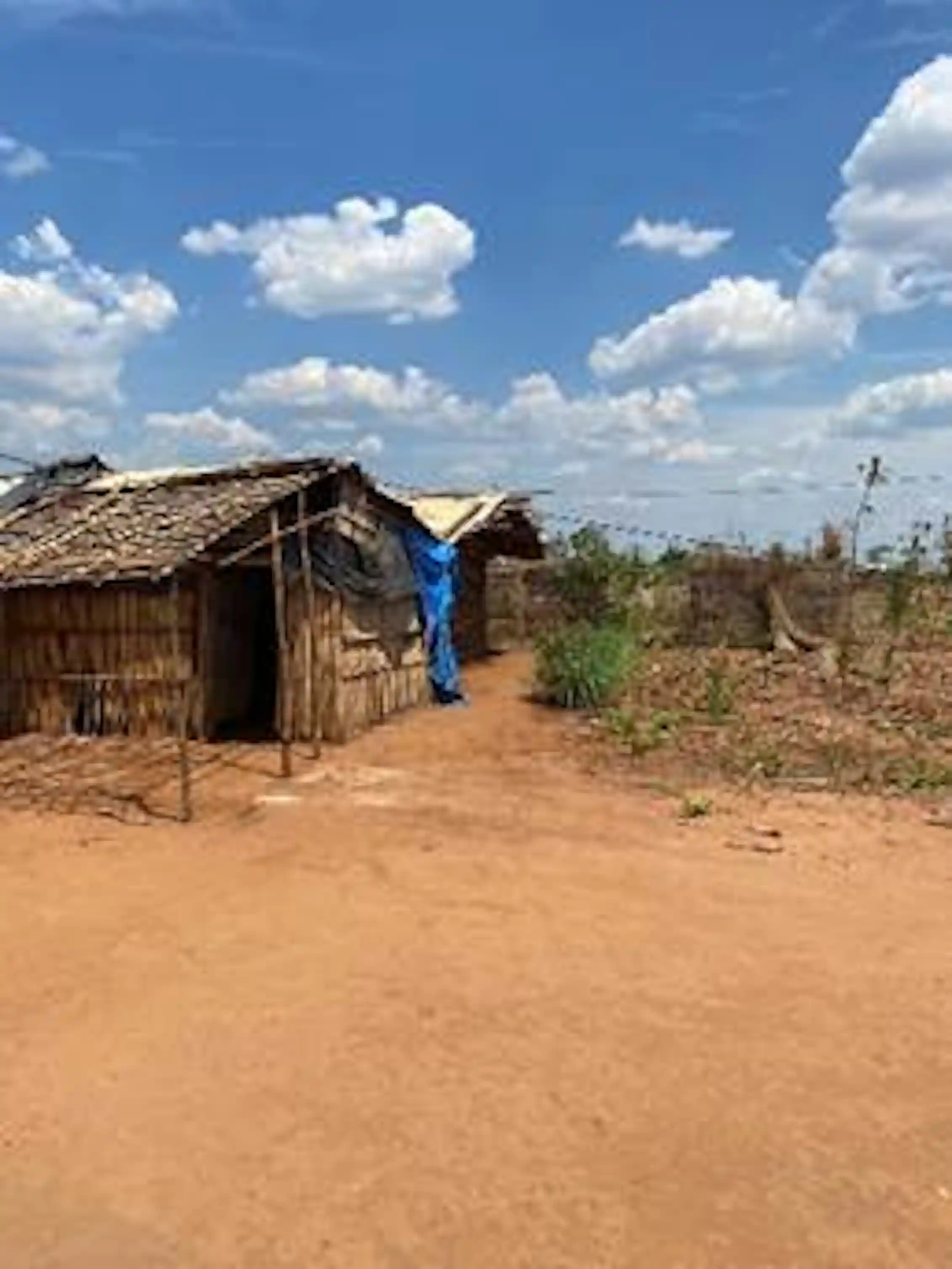 A house made of wooden poles and grass