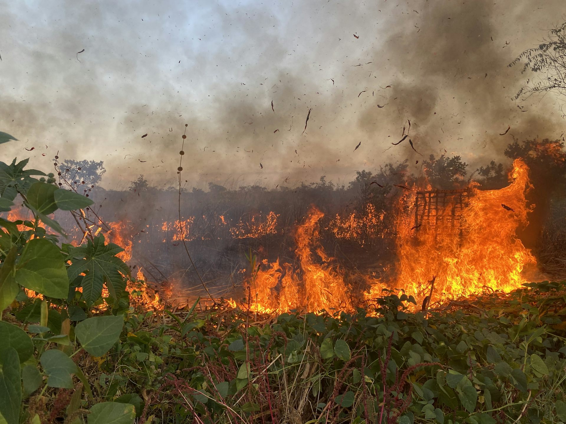 Un brûlage contrôlé en Angola
