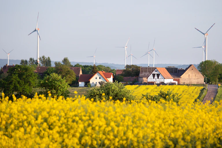 Dans le cadre de la transition énergétique, l'Allemagne poursuit l’objectif de dédier 2% de son territoire à l’éolien terrestre d’ici 2032.