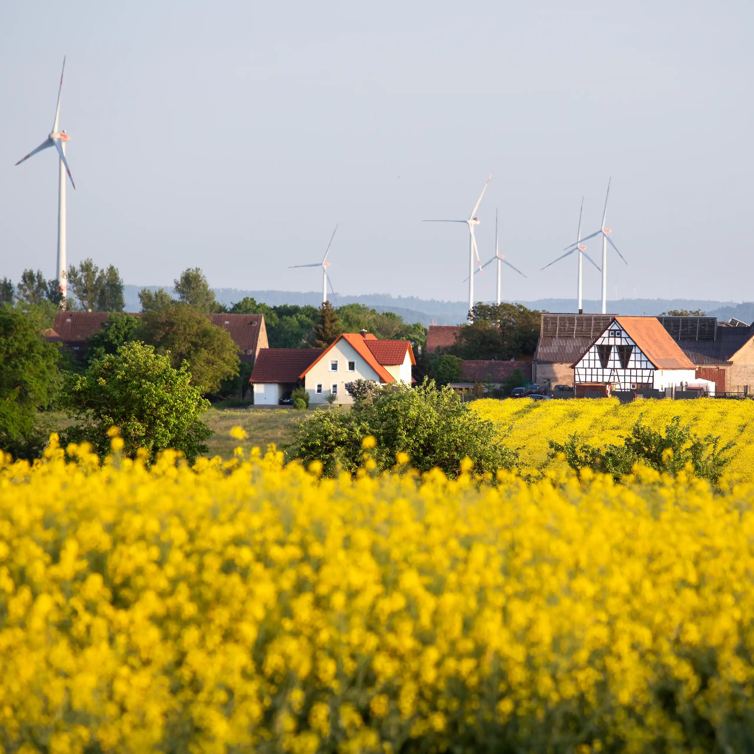 Dans le cadre de la transition énergétique, l'Allemagne poursuit l’objectif de dédier 2% de son territoire à l’éolien terrestre d’ici 2032.