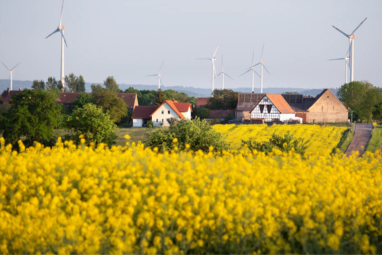 Fields of rapeseed in the foreground against a backdrop of housing with wind turbines in the distance.