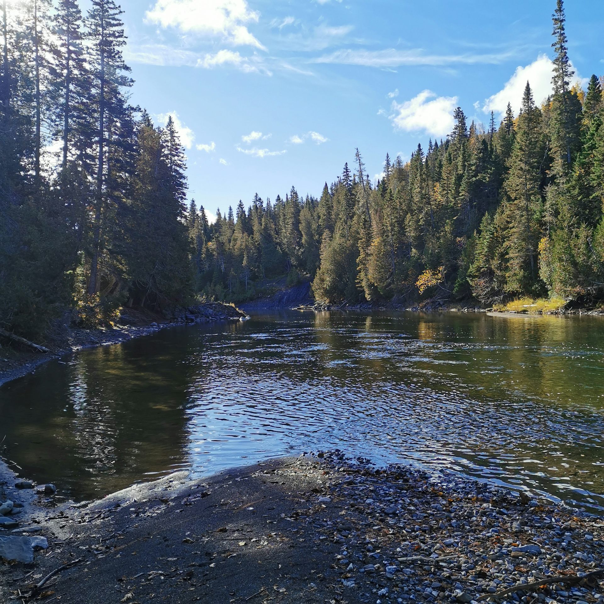 a treed river bank 