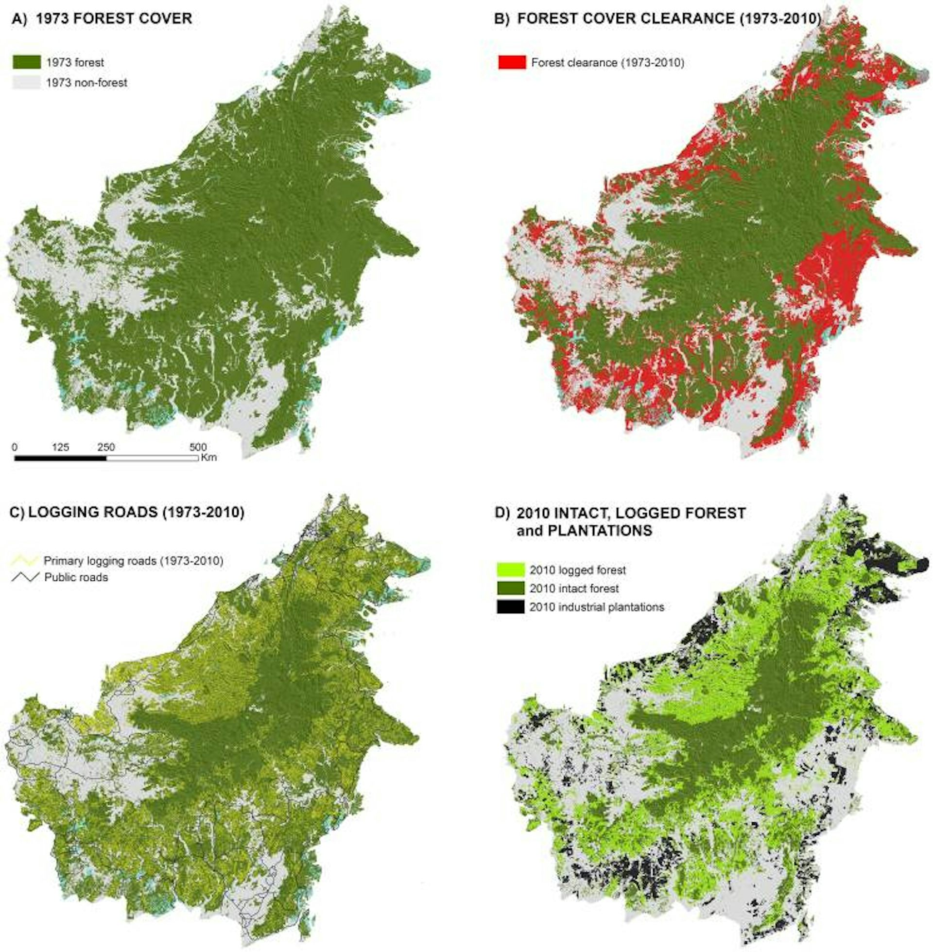 dampak deforestasi kalimantan