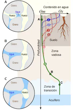 Modelo conceptual de la evolución del perfil de humedad en un suelo desde un evento de precipitación hasta el punto de marchitamiento