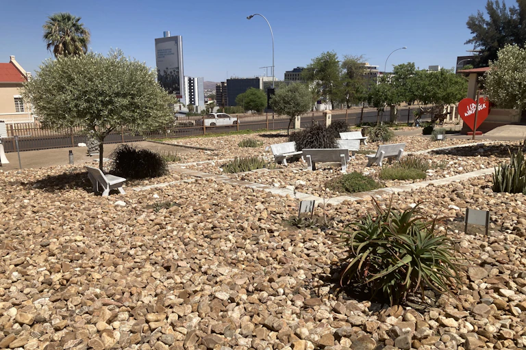 Stones and a few plants in a city landscape with some park benches
