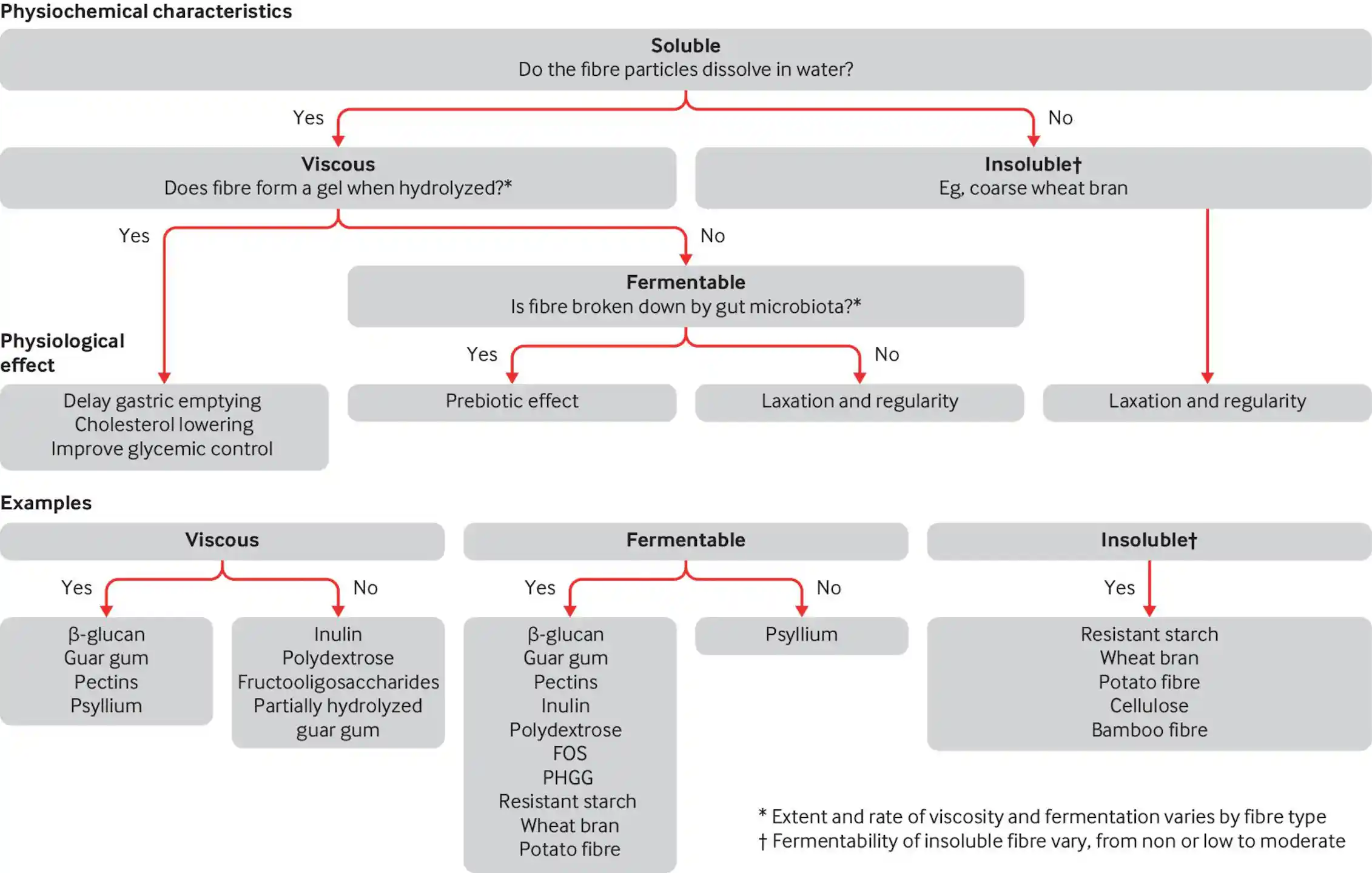 Flow chart of various types of fiber, including soluble, viscous fermentable fibre; soluble, viscous, non-fermentable fibre; soluble, non-viscous, fermentable f