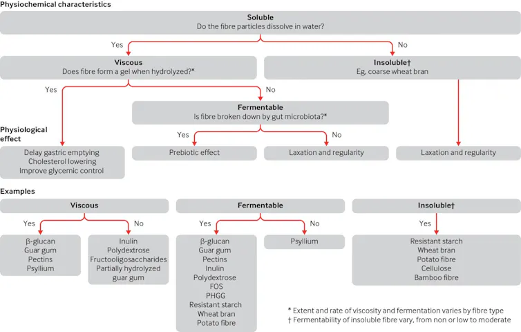 Flow chart of various types of fiber, including soluble, viscous fermentable fibre; soluble, viscous, non-fermentable fibre; soluble, non-viscous, fermentable fibre; soluble, non-viscous, fermentable fibre; insoluble, partially