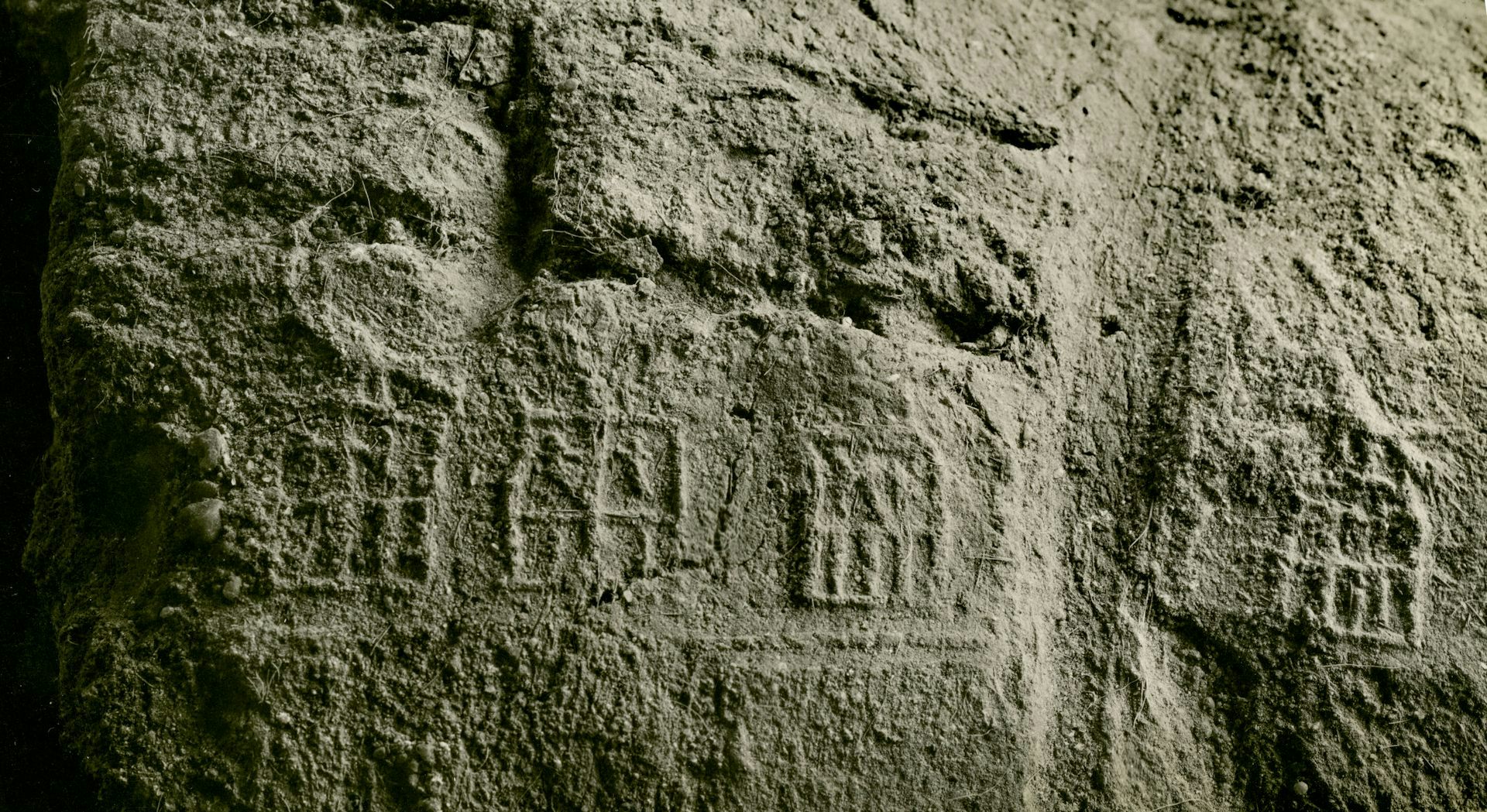 Was there really a female king in ancient Egypt 5,000 years ago? New study says yes