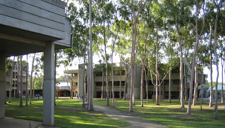 A green open space with gumtrees, surrounded by concrete buildings.