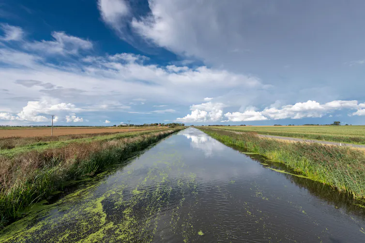 Looking along a small drainage canal