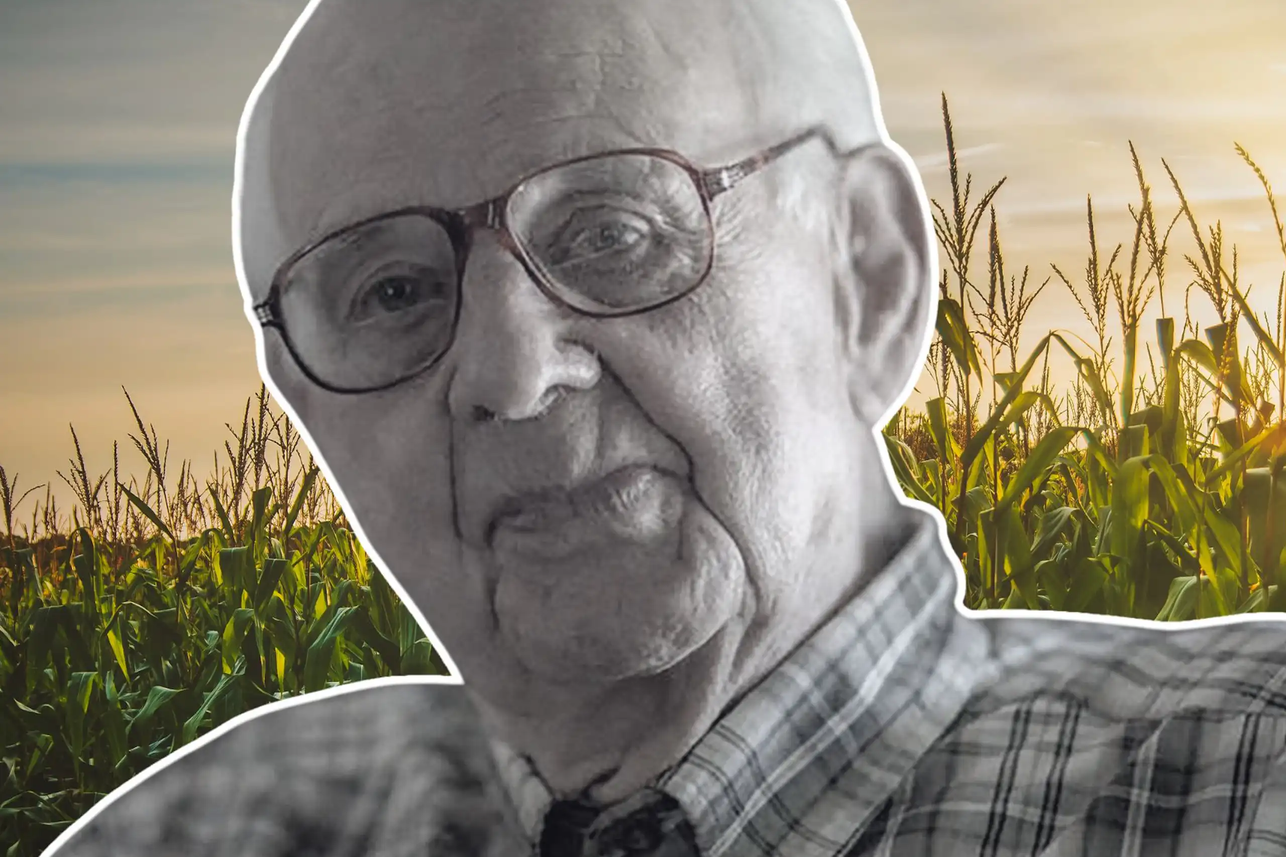 Wendell Berry's image imposed over a crop field at sunset.